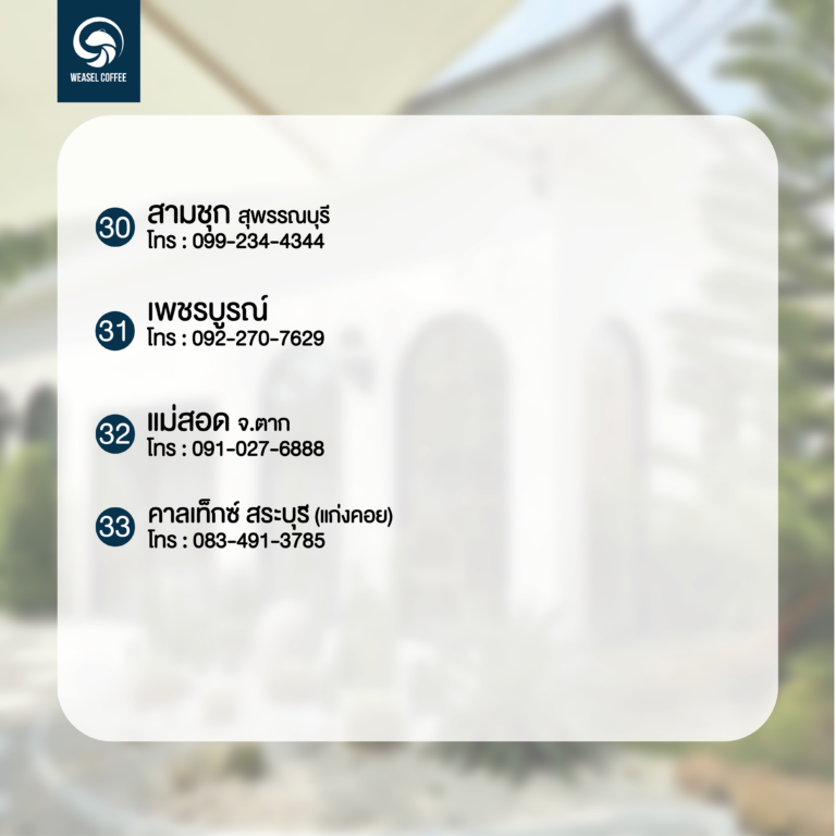 สาขา weasel-05