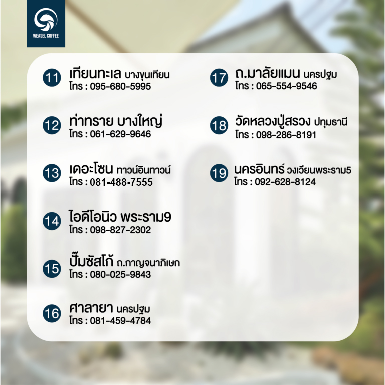สาขา-weasel-03-2-768x768