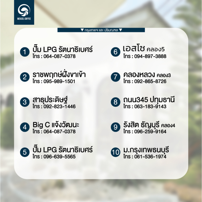 สาขา-weasel-02 01