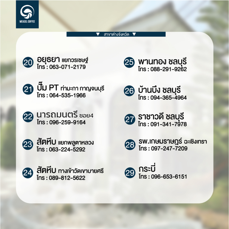 สาขา-weasel-02 02